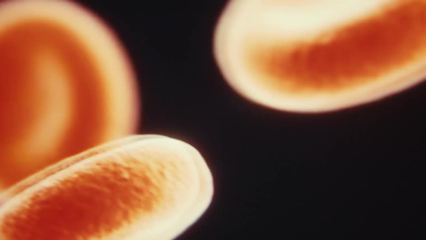 A digital art red blood cells view of cells flowing across a black background