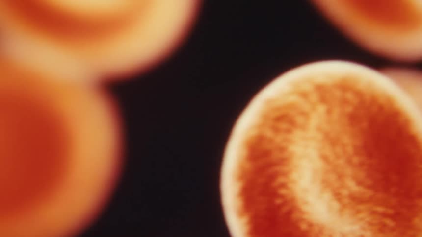 Series of red blood cells animation displayed on a computer screen in chain form