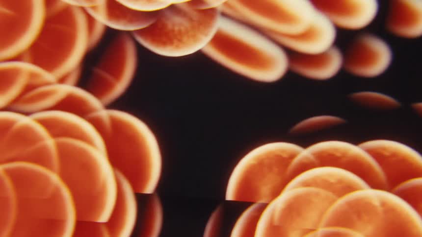 A detailed microscopic view shows a large group of human red blood cells floating and moving slowly on a dark background