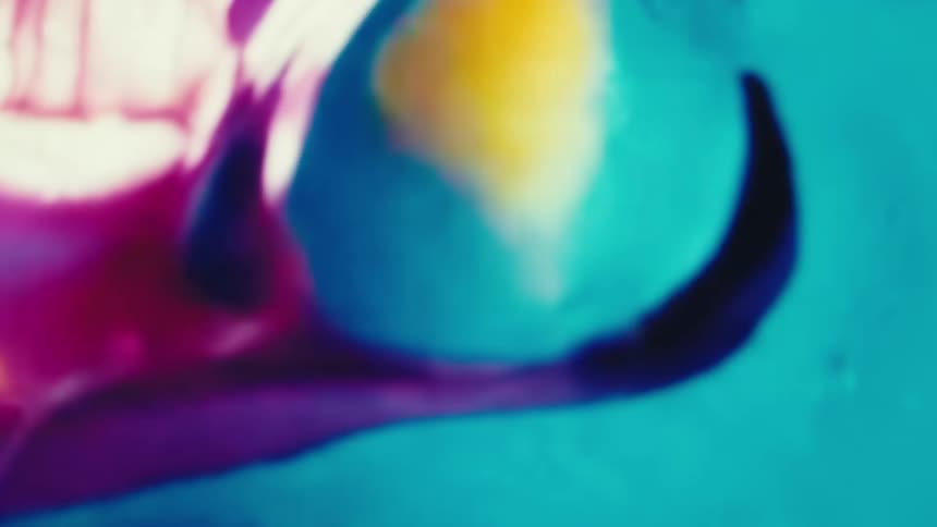 Shades of purple and pink blend against a blue background creating an abstract liquid flow