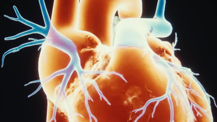 Closeup of an animated glowing human heart against a dark background
