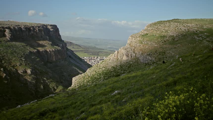 Grasses sway in breeze on mountain overlooking a valley