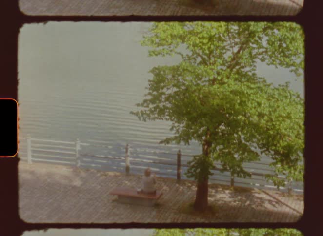 A person sits alone on a bench by the riverside under a tree