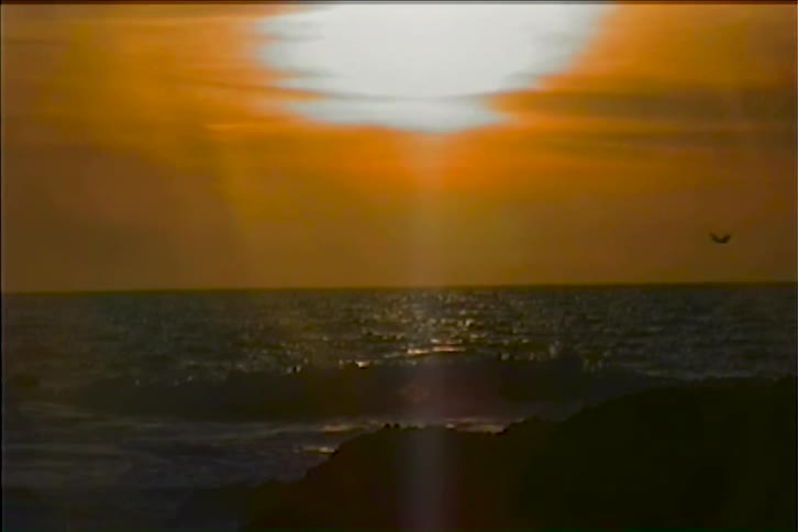 The first line of the video shows a stunning wide shot of a sunset over the ocean with the suns bright light casting a reflection on the water the second line shows a bird flying across the golden sky with the waves continuing to crash on the shore in