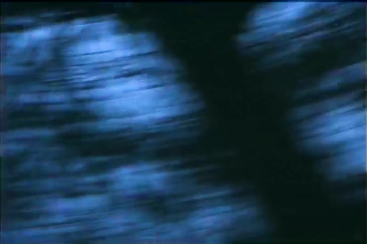 Blurred shadow of trees in a bluish tone creates a motion effect