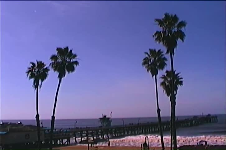 Palm trees lined up in front of a pier extending over the sea