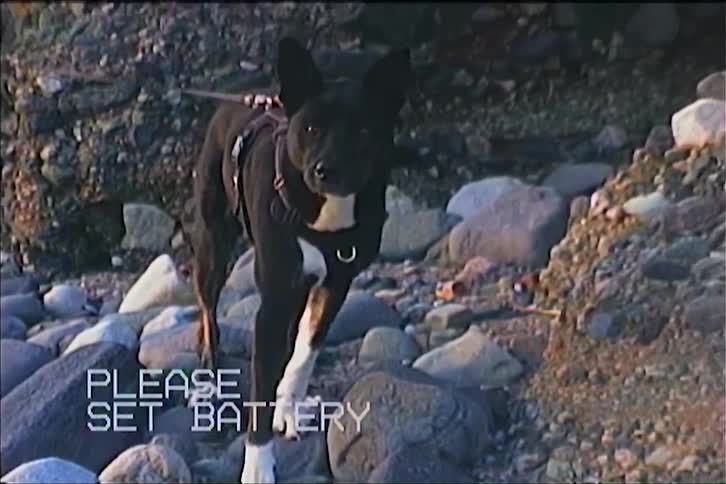 Two people are walking a dog on a rocky path in the mountains