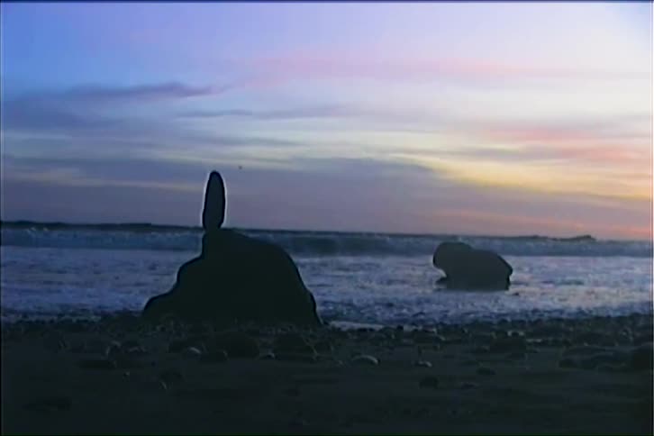 The video begins with a wide static shot of a dark cloudy sky with a hint of red and orange at the horizon the second line shows a flock of birds silhouetted against the sky flying towards the right side of the screen