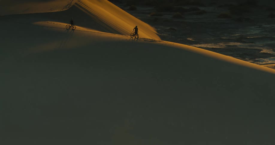 Two people with bicycles are on top of a dune looking down