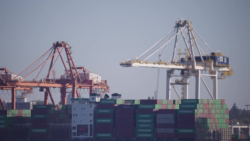 Many shiipping containers are stacked at a port near the cranes