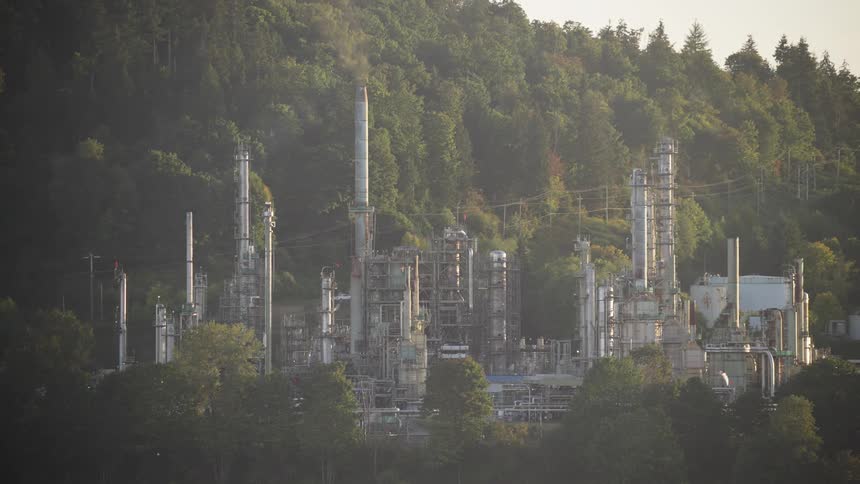 Industrial complex with towers and pipelines surrounded by forest area