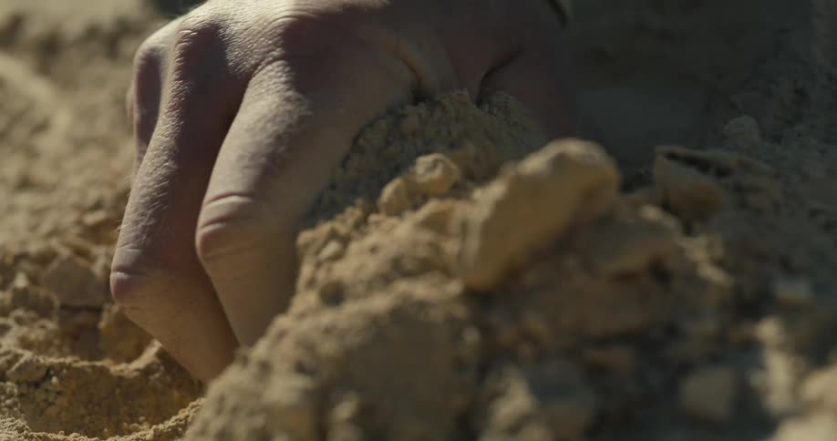 Hand in contact with sand