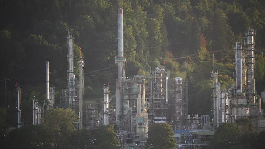 Industrial refinery with chimneys and metal structures in front of a forest area