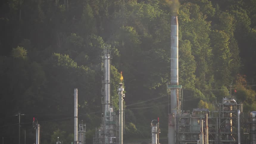 A refinery plant surrounded by trees with a flare burning from one chimney and smoke coming out of another