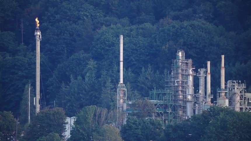 Industrial refinery with chimneys and gas flaring in front of a dense forest area