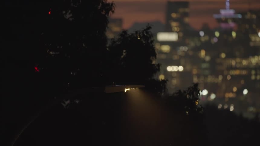 Streetlight glowing among vegetation with blurred buildings in the background at dusk