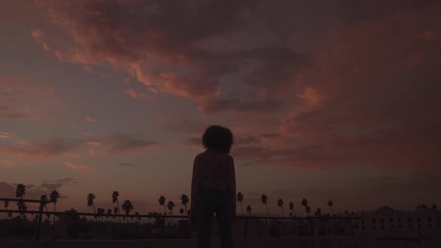 A person on a rooftop overlooking a city with palm trees at sunset