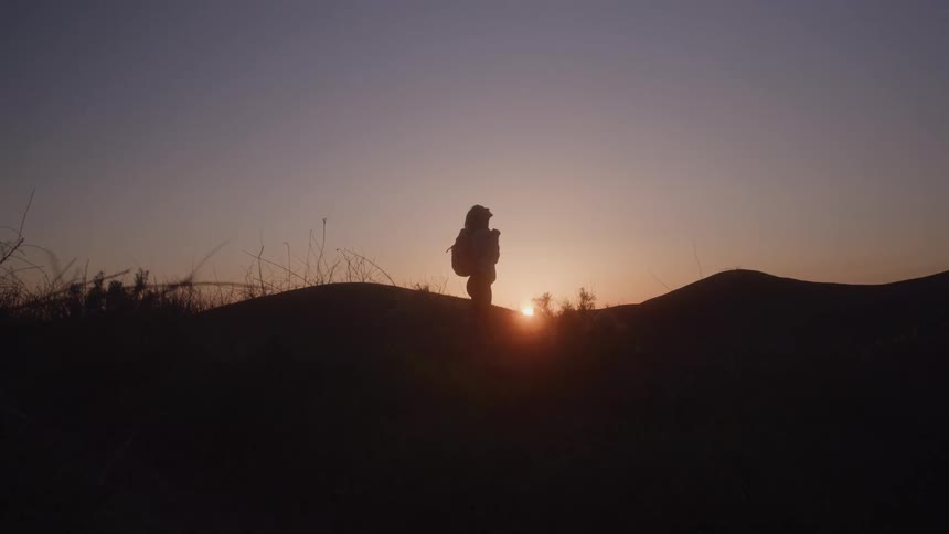 The woman on the hill looks up at the sky at sunrise