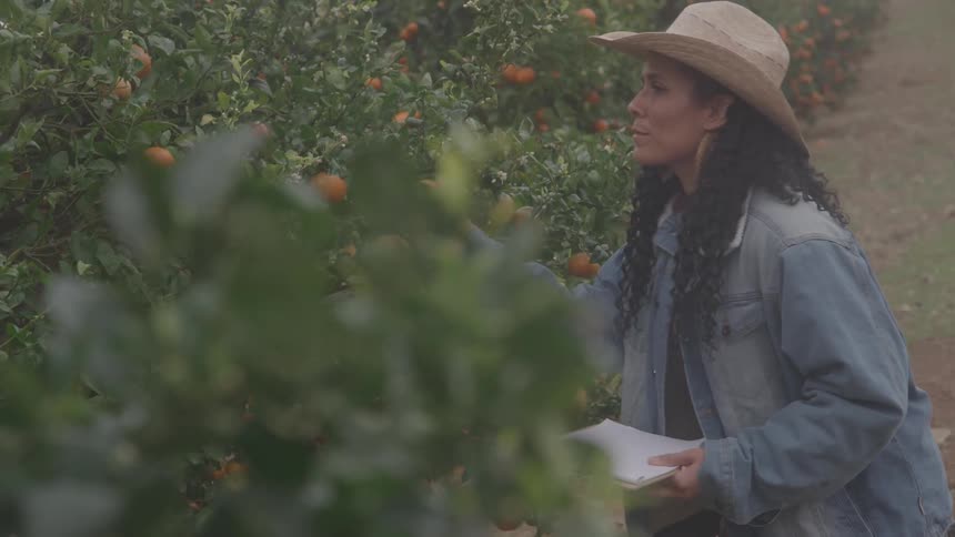 A woman inspects her crops