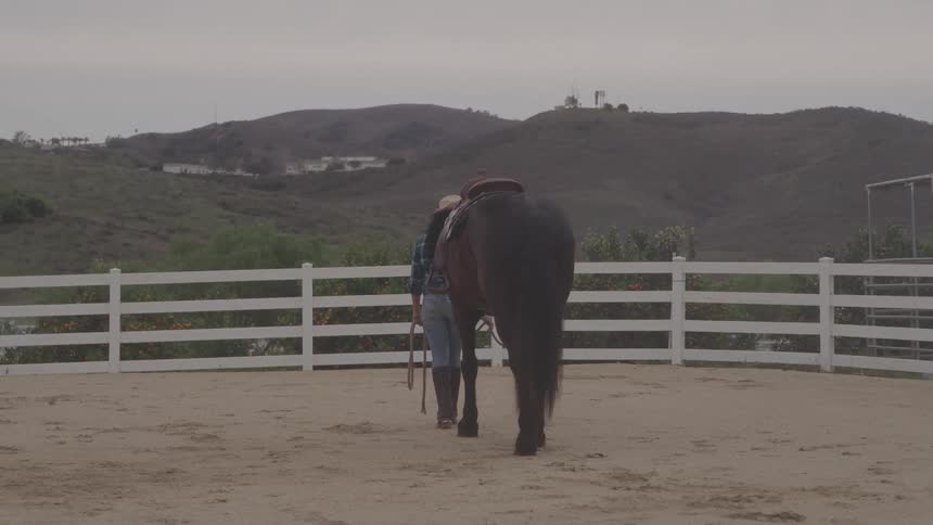 A woman walking her horse