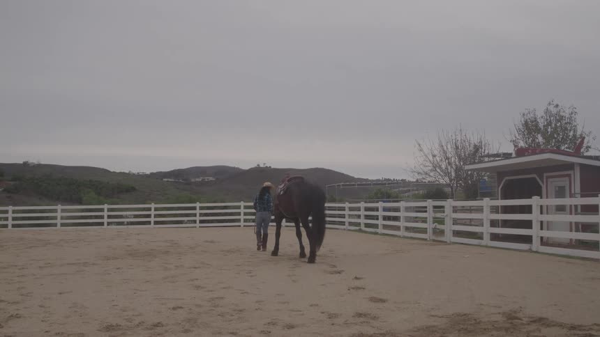 A woman walks her horse