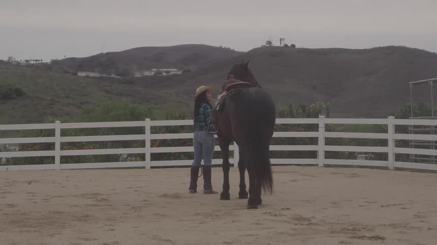 A woman pets her horse
