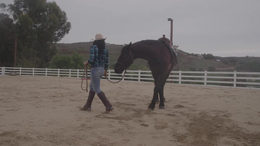 A woman walks her horse
