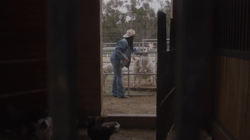 A woman stands by a fence and pets a goat in a farm setting