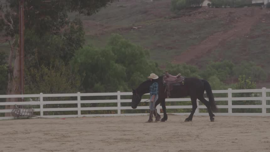 A woman walking her horse
