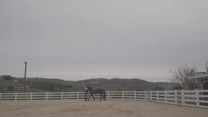 A woman walking her horse