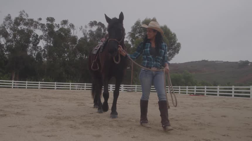 A woman walking her horse