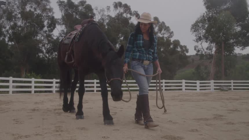 Woman leads horse through fenced outdoor area with sandy ground white fences and cloudy sky in the background