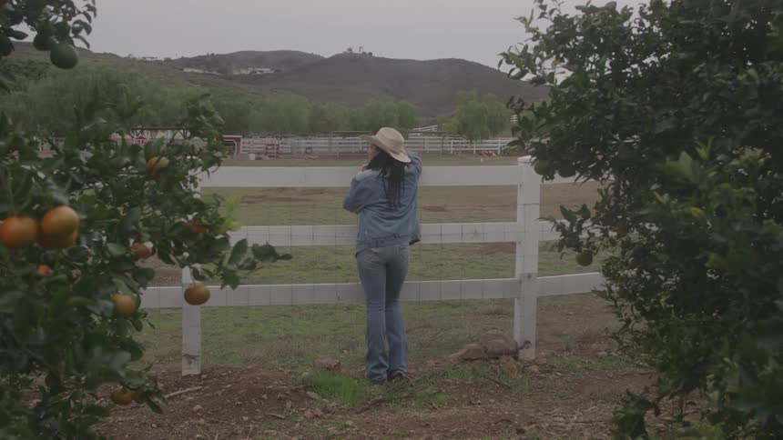 A woman in a cowboy hat and denim stands with her back to the camera looking over a white fence into an orchard with rolling hills in the background