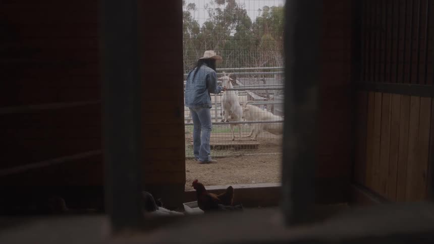 Woman with a hat interacting with a goat in a farm enclosure