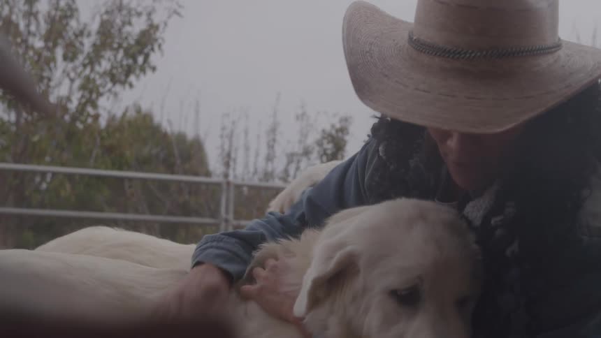 Woman in a hat pets two white dogs