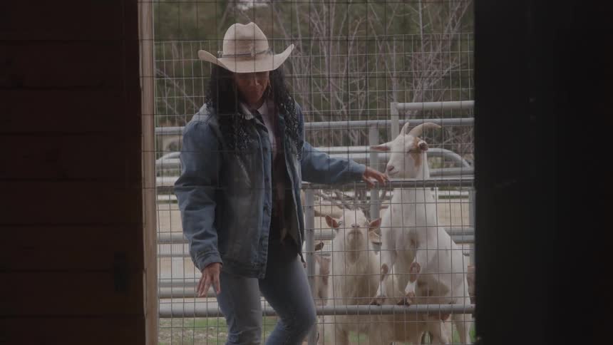 Woman wearing a cowboy hat pets goats through the fence
