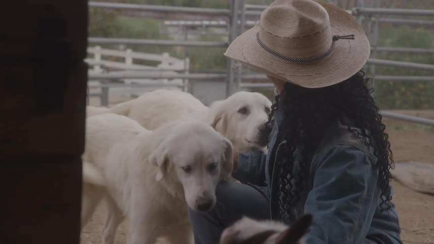 A woman wearing a cowboy hat kneels down and pets two dogs in a fenced area