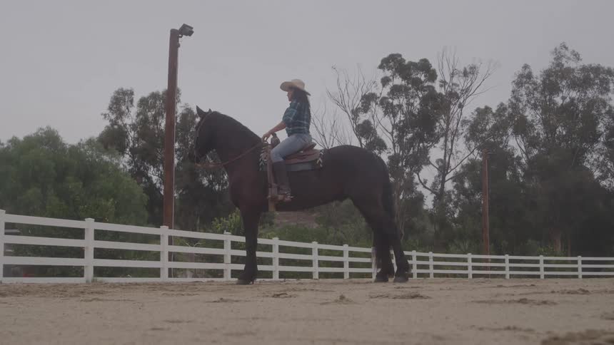 A woman wearing a cowboy hat plaid shirt and jeans is riding a dark horse in a dirt arena surrounded by a white fence and green trees under a hazy sky