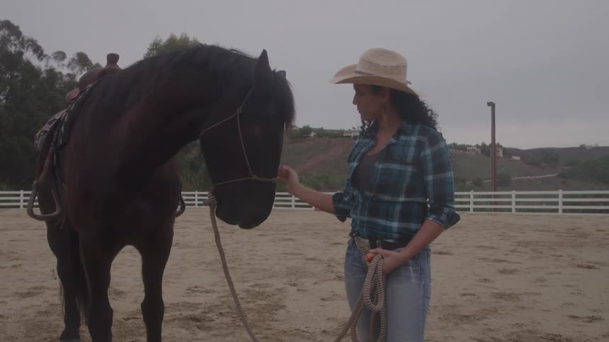 A woman pets her horse