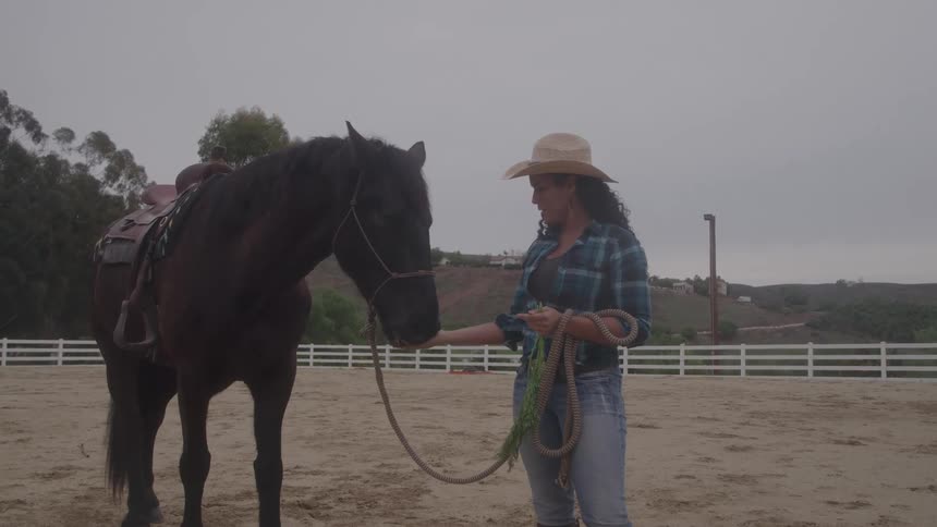 Woman in a hat feeds a horse in a corral