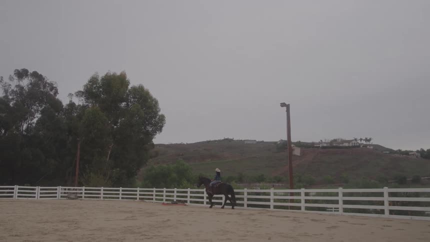 A woman rides steadily around an outdoor arena sitting tall and focused as she guides the horse along the fence