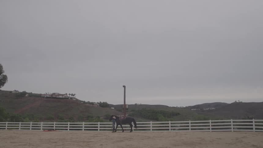 Person leading a horse inside an enclosure in a rural area