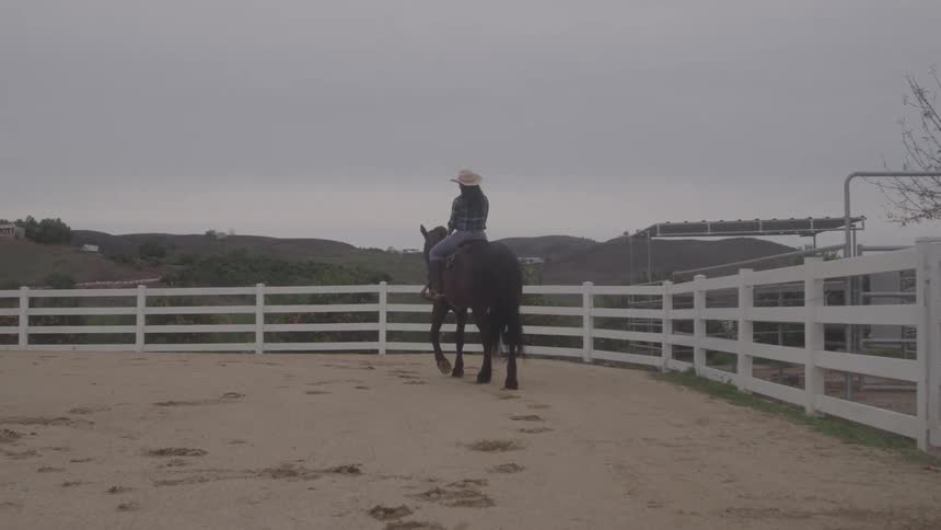 Woman riding horse in a corral at an equestrian center
