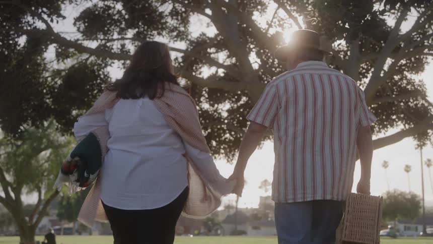 Couple walks hand in hand carrying a picnic basket
