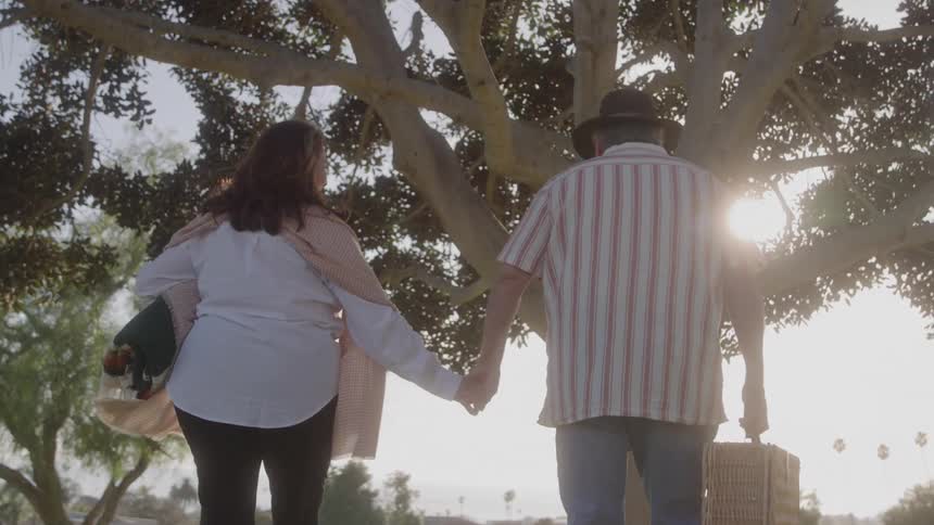 An elderly couple hold hands in a sunny day and walk toward a tree