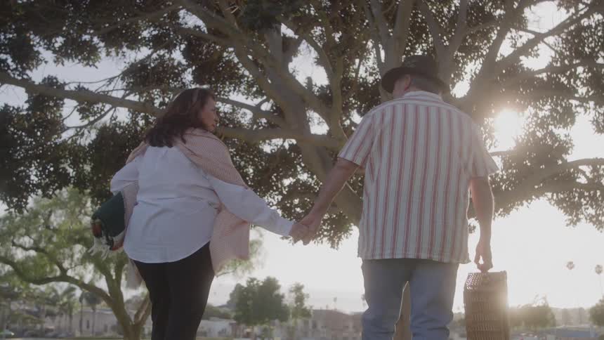 A middleaged couple holding hands walking together on a grassland on a sunny day