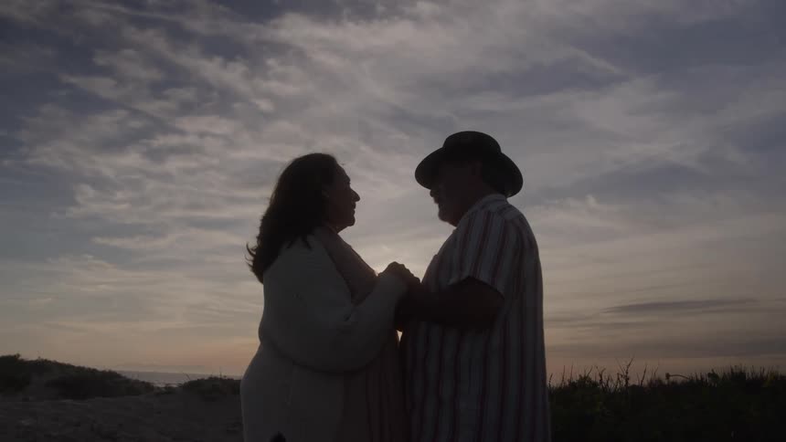 Elderly couple face each other holding hands by the beach at sunset