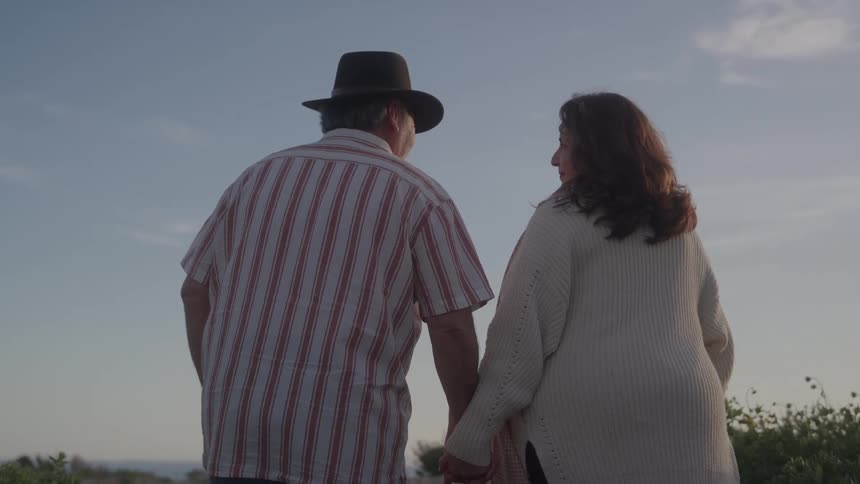 A couple walk and hold hands with their backs to the camera on a field