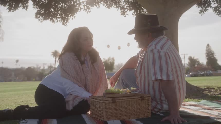 People seated on blanket in park share picnic under tree with wicker basket and fruit in sunlight