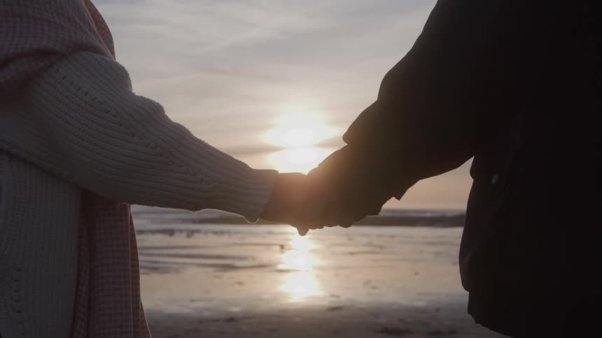 Couple holding hands facing the sea during sunset
